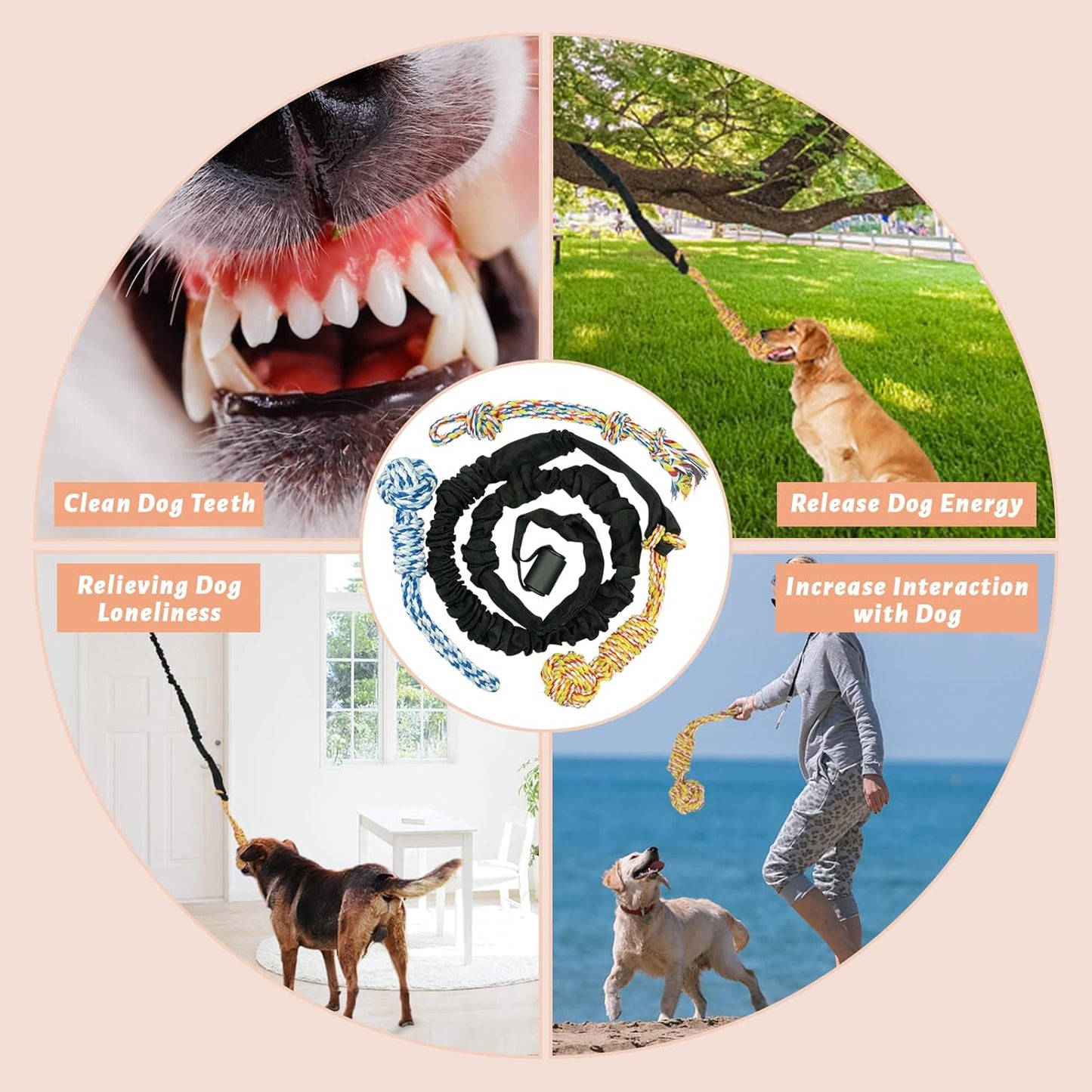 Interactive Dog Bungee Tug Toy
