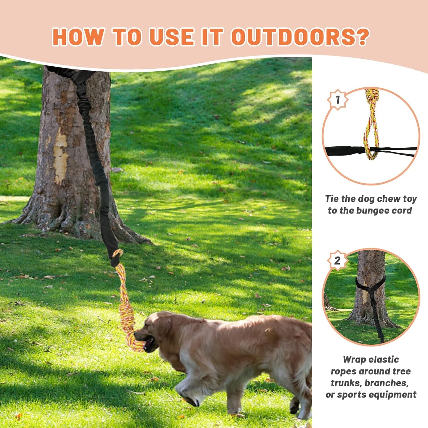 Interactive Dog Bungee Tug Toy