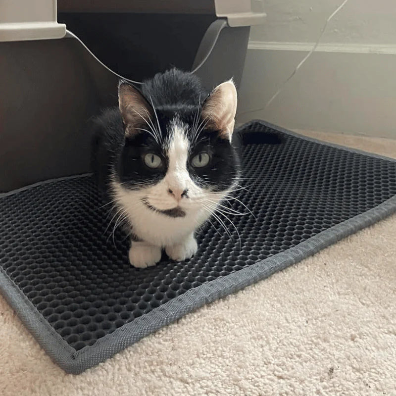 Double Layer Nonslip Litter Mat