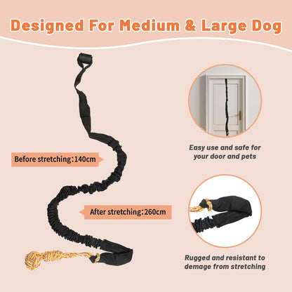 Interactive Dog Bungee Tug Toy