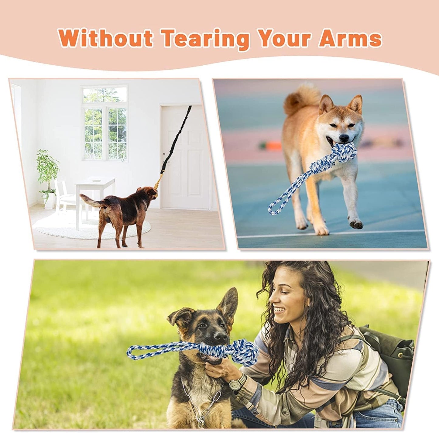 Interactive Dog Bungee Tug Toy