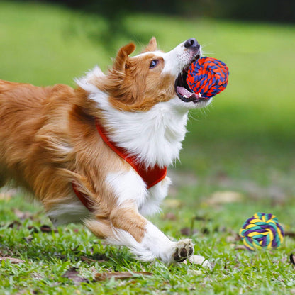 Interactive Dog Bungee Tug Toy