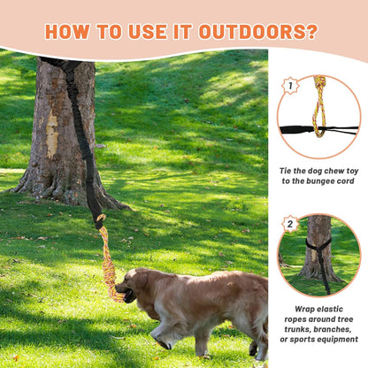 Interactive Dog Bungee Tug Toy