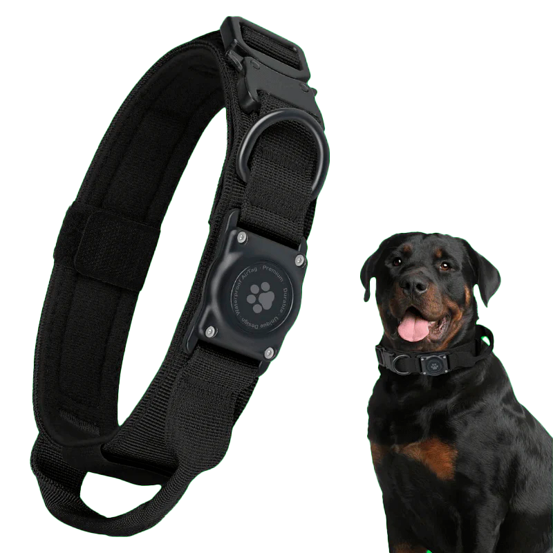 AirTag Collar