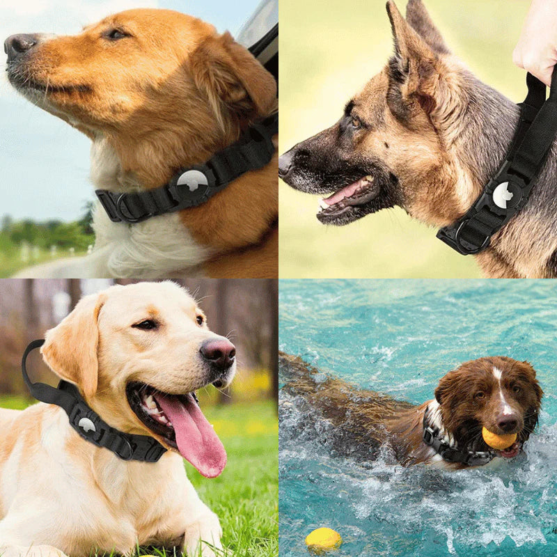 AirTag Collar