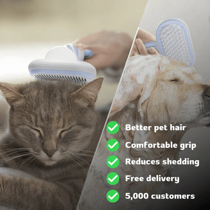 Spray Self Cleaning Comb