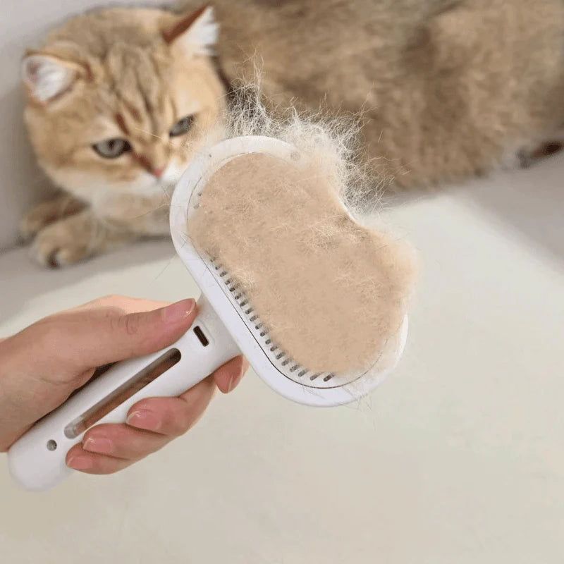 Spray Self Cleaning Comb