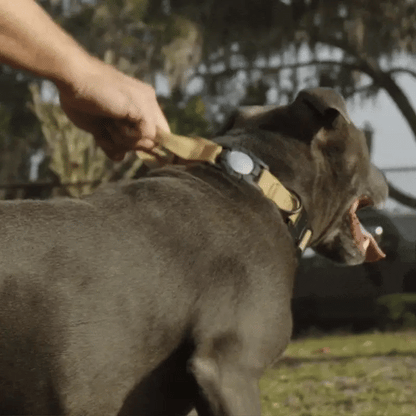 AirTag Collar