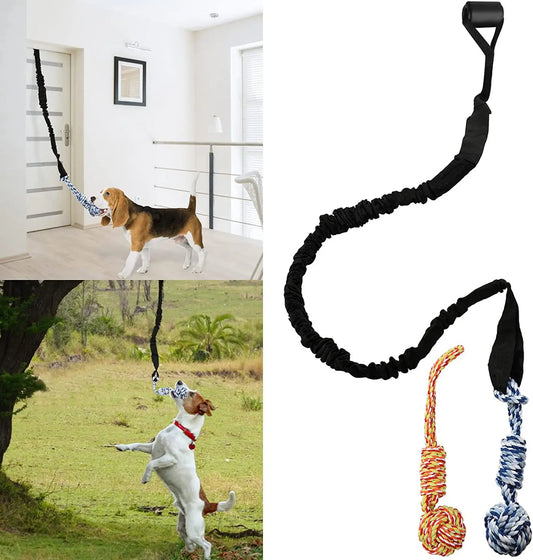 Interactive Dog Bungee Tug Toy