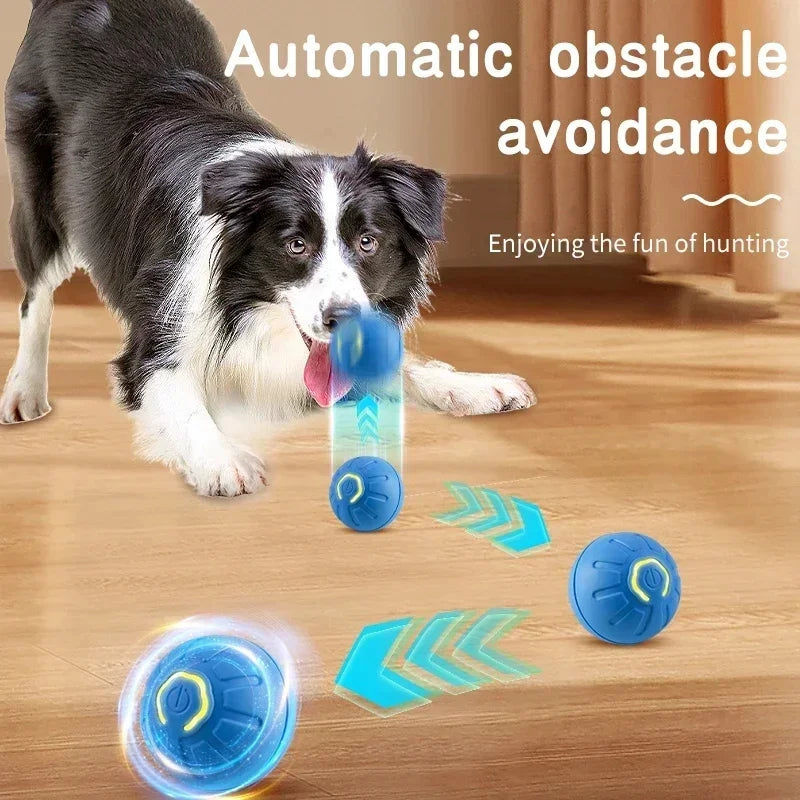 Smart Pet Bounce Ball