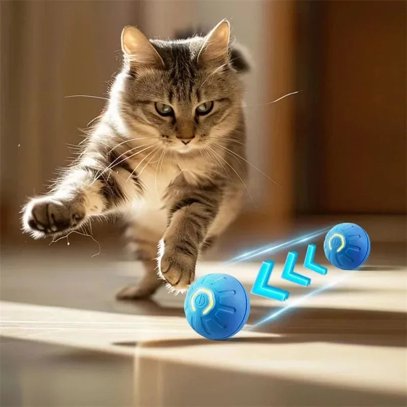 Smart Pet Bounce Ball
