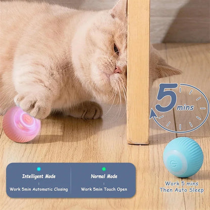 Smart Pet Bounce Ball