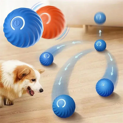 Smart Pet Bounce Ball