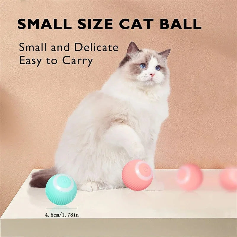 Smart Pet Bounce Ball