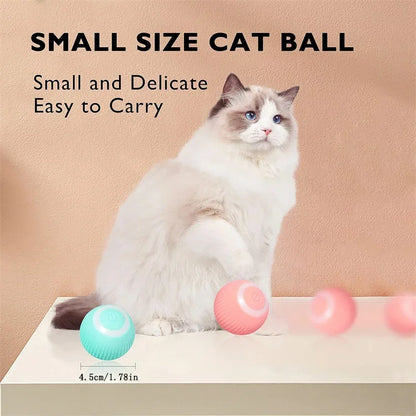 Smart Pet Bounce Ball
