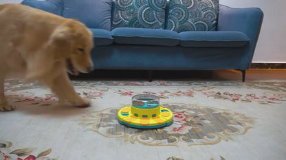 Slow Feeder